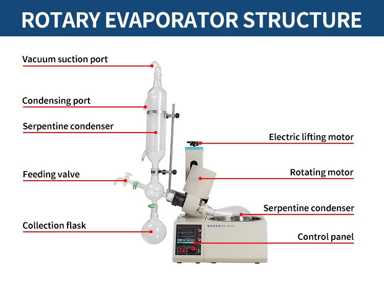 rotary evaporator.jpg